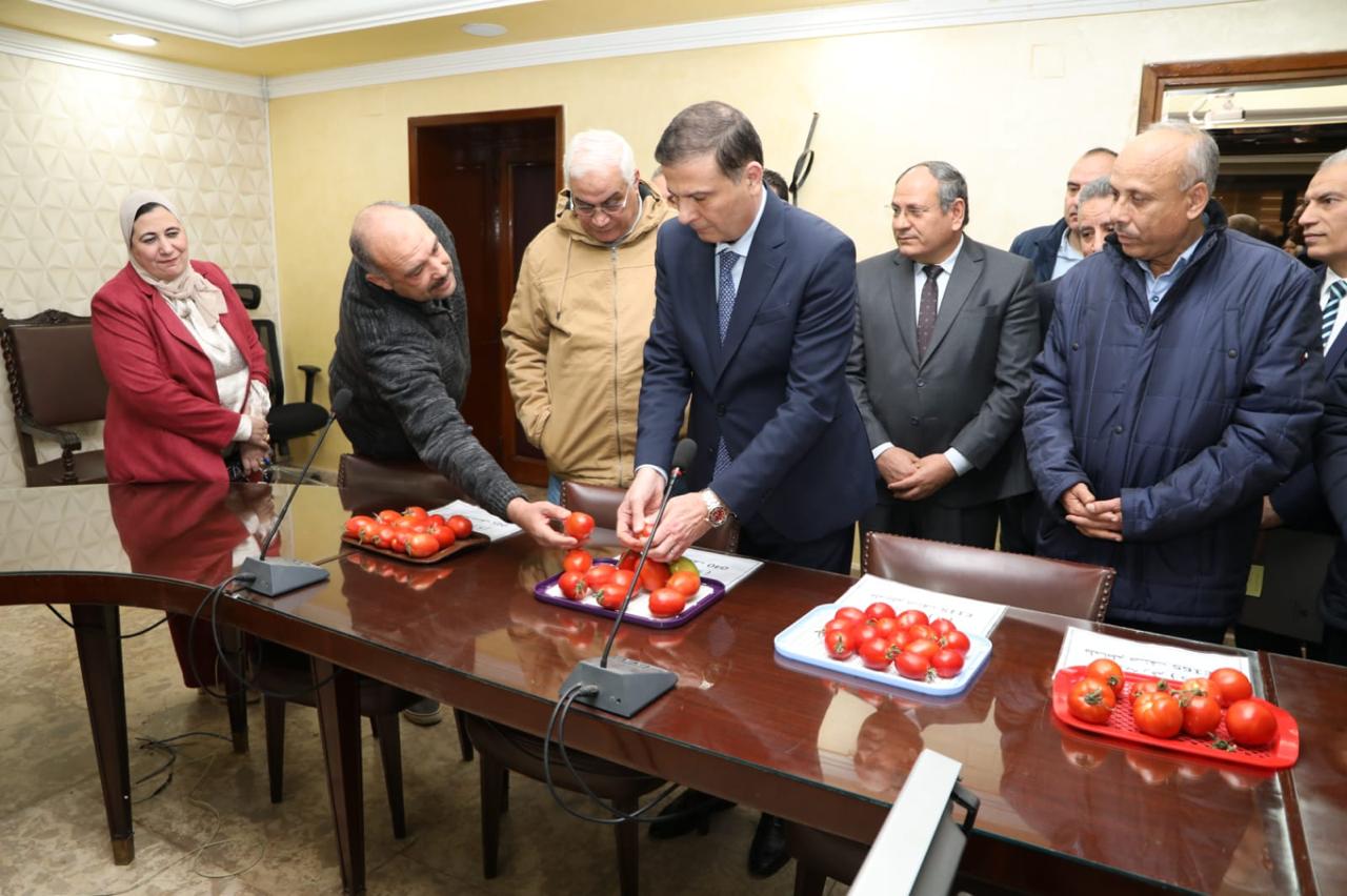 استنباط 8 أصناف طماطم جديدة