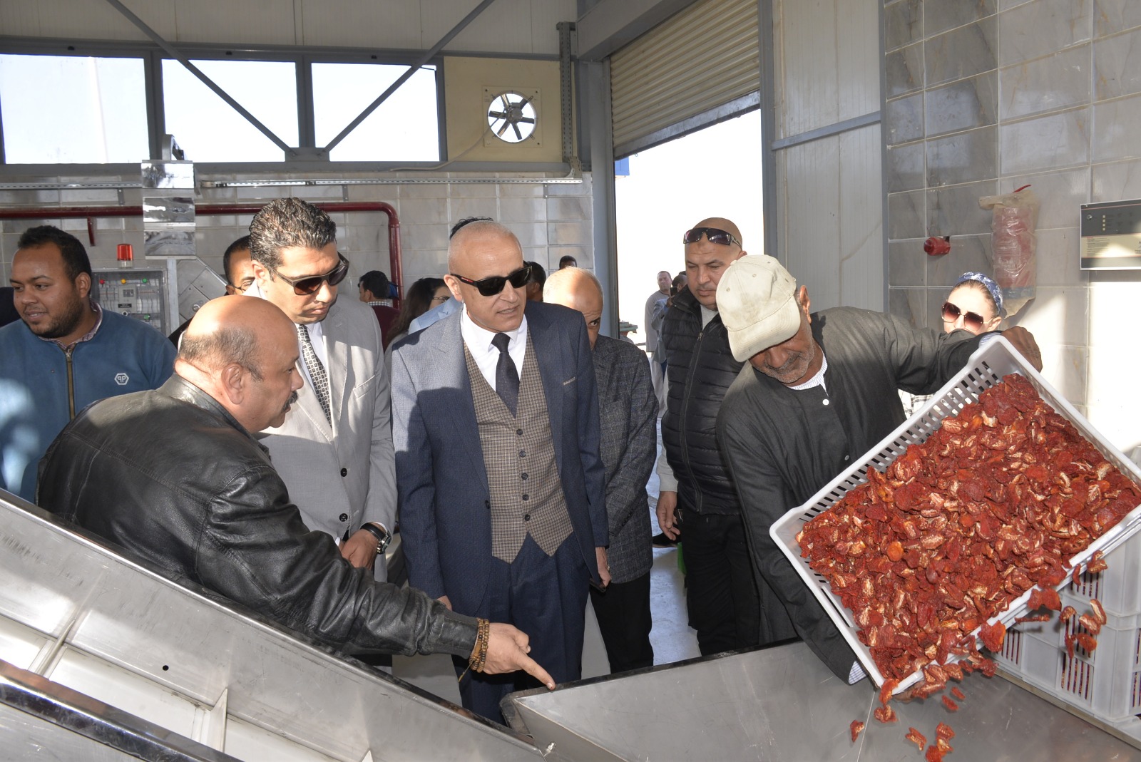 عرض كميات الطماطم المجففة عقب نهاية التجفيف الشمسي