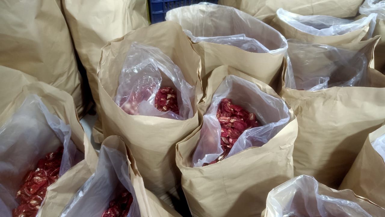 جانب من تجهيز عبوات الطماطم المجففة للتصدير للخارج