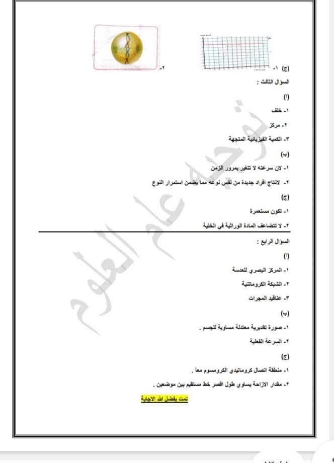 نماذج استرشادية للشهادة الإعدادية (8)