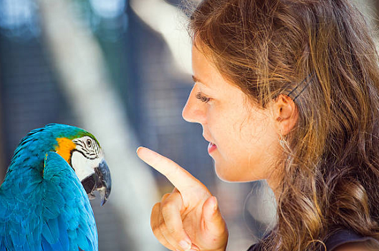 فتاة تتحدث مع صديقها السرى