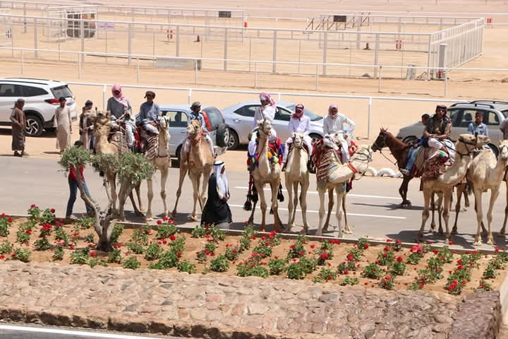 جانب من التجهيزات جانب من التجهيزات