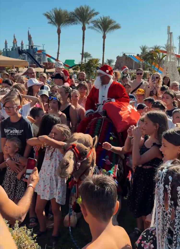 الفقرات والاحتفال فى الفنادق