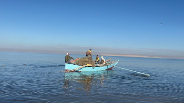 بحيرة قارون كنز الفيوم الأزرق (4)