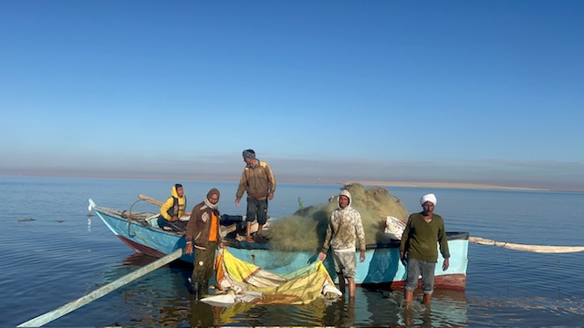 بحيرة قارون كنز الفيوم الأزرق (6)