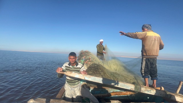 بحيرة قارون كنز الفيوم الأزرق (3)