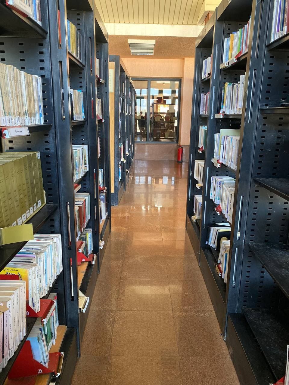 جانب من المكتبة ببورسعيد