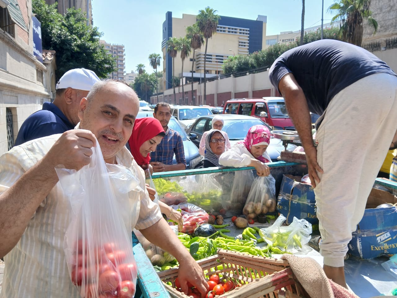 الطماطم باسعار مخفضة