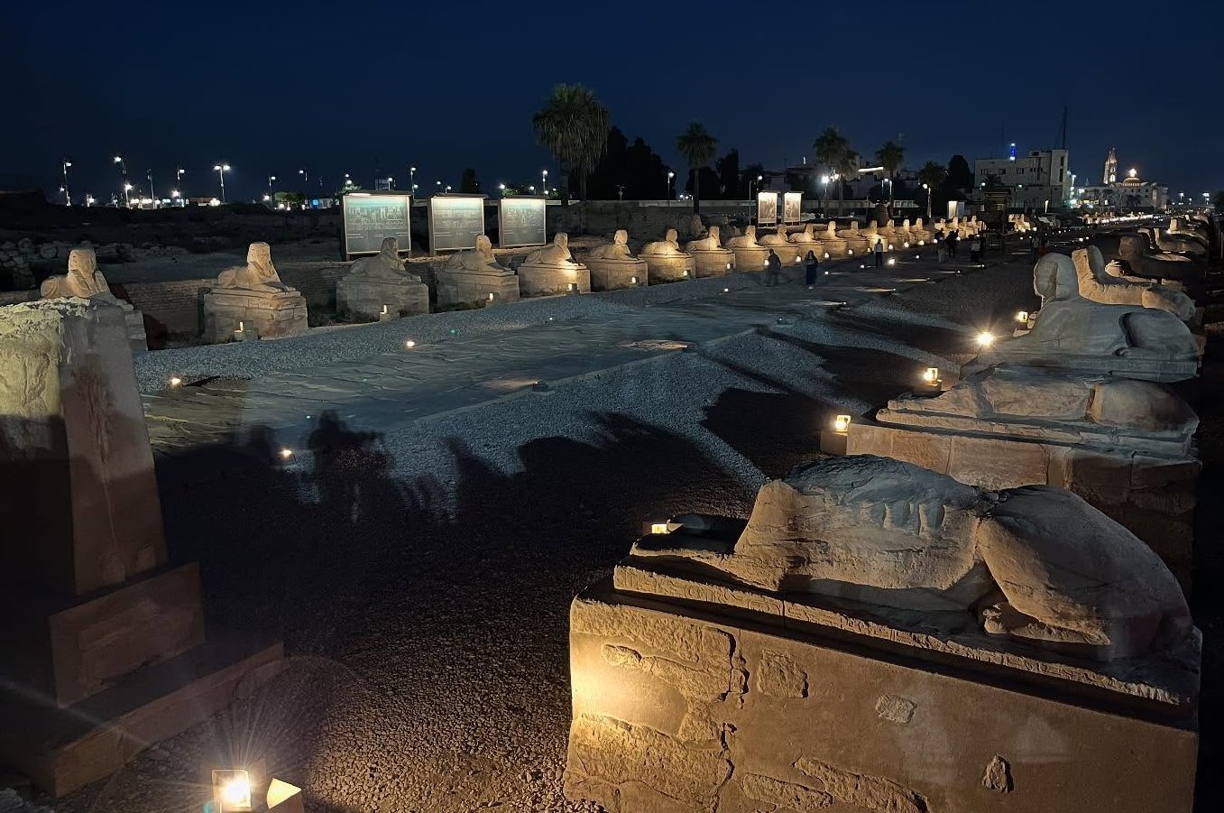 طريق الكباش يجذب سياح العالم ليلاً