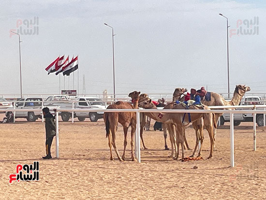 جانب-من-المهرجان