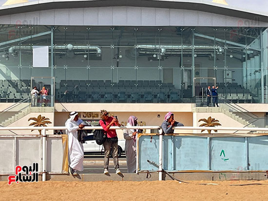 استمتاع-السياح-بسباقات-الهجن