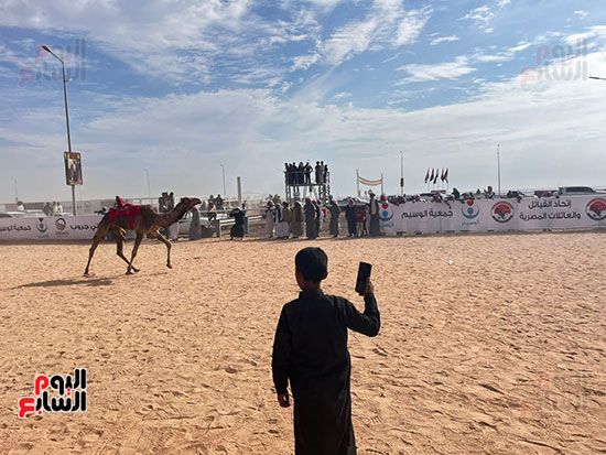 طفل-يتابع-الهجن