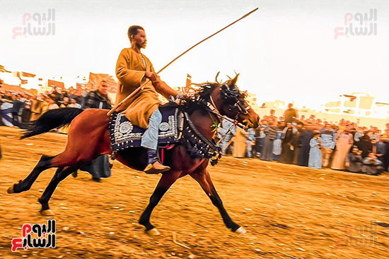 مرماح-الخيول-فى-مولد-الشيخ-موسي-أبو-على-بالكرنك