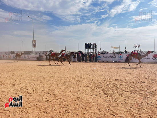 مهرجان-الهجن-فى-شرم-الشيخ