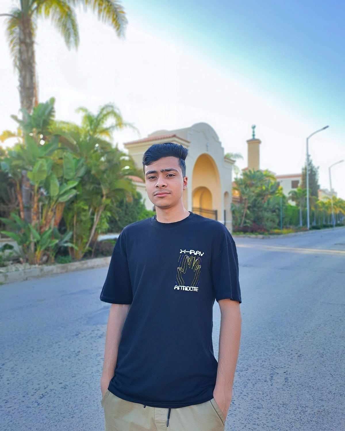 المساحات الخضراء فى الشوارع
