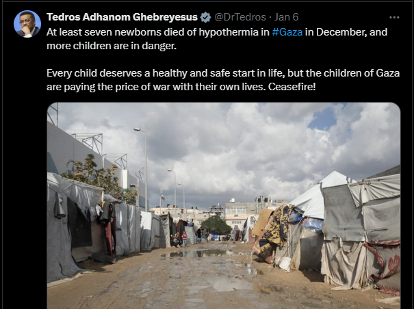 تغريدة المدير العام لمنظمة الصحة العالمية حول تأثير البرد على أطفال غزة