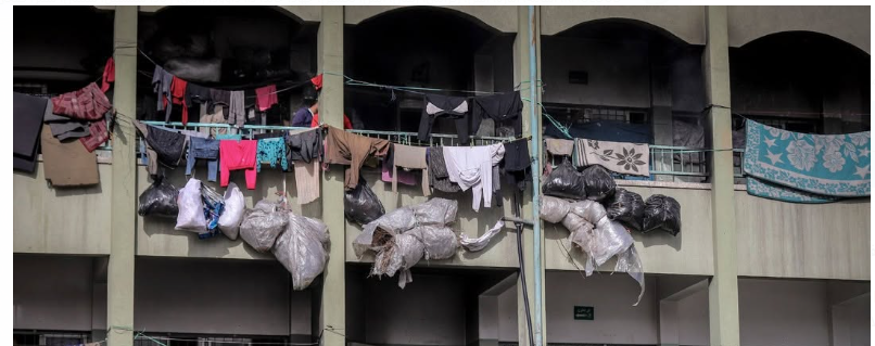 النازحون في غزة