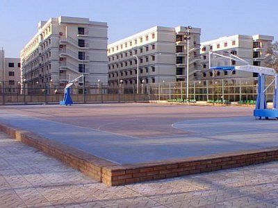 ملعب الترتان