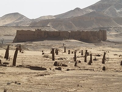 حصن الدير بالواحات الخارجة حصن الدير بالواحات الخارجة