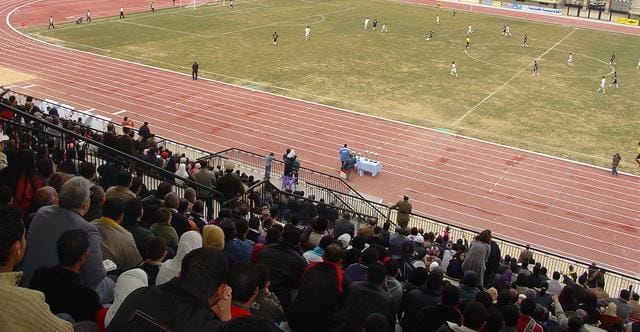 استاد جامعة المنصورة