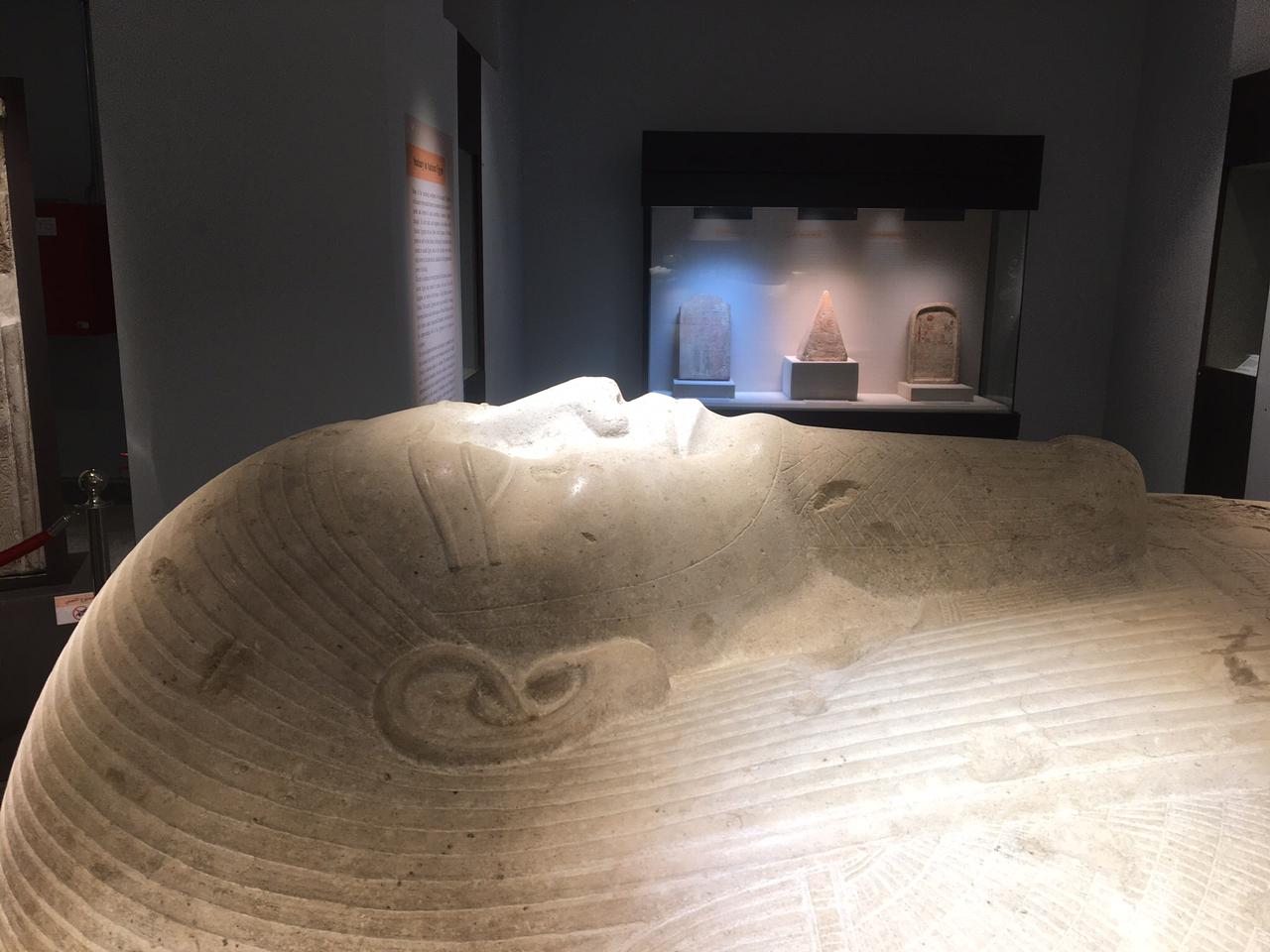 WhatsApp Image 2025-01-15 at 3.56.24 PM (1)