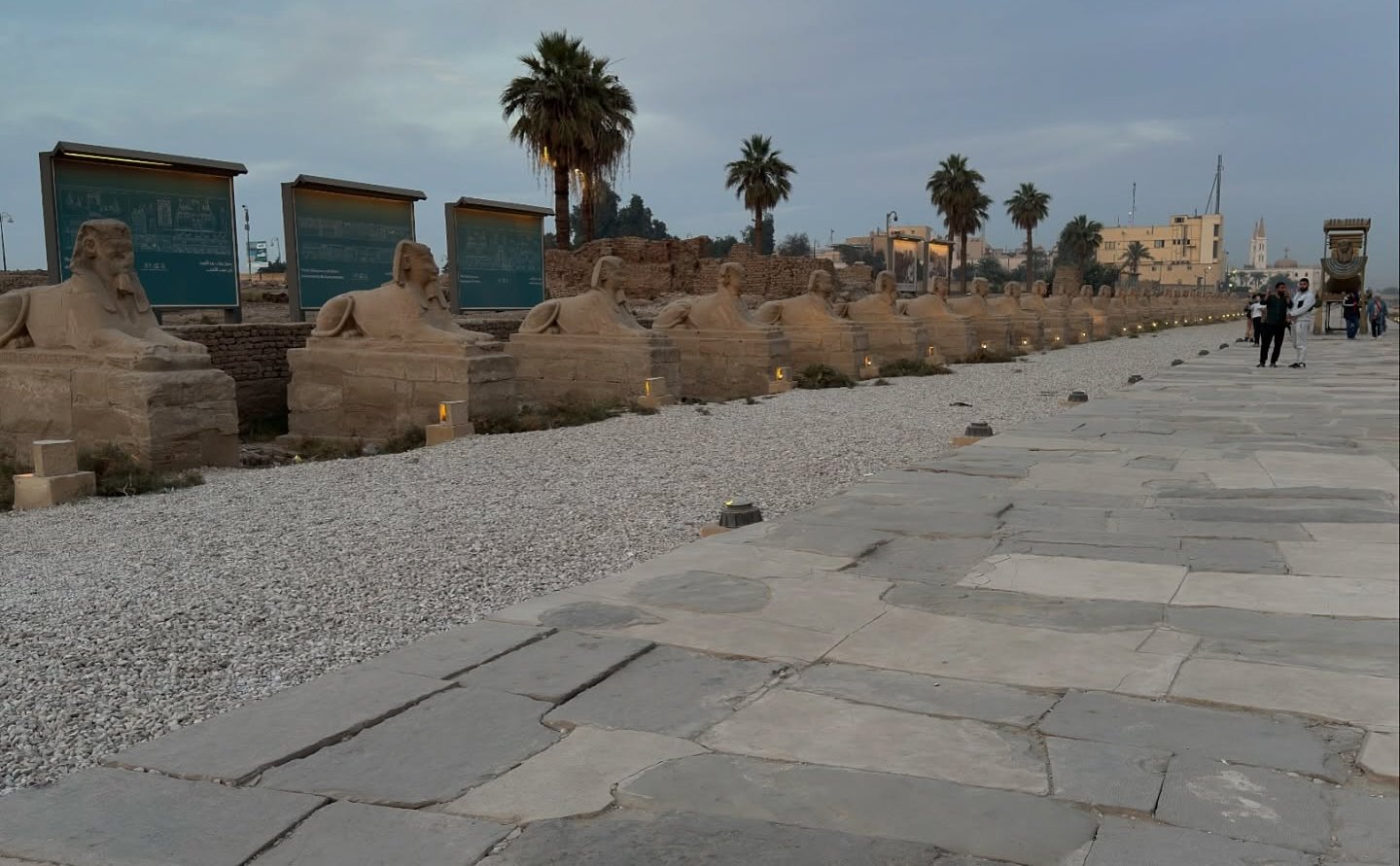 سحر طريق الكباش والإضاءة داخله تبهر سياح العالم سحر طريق الكباش والإضاءة داخله تبهر سياح العالم