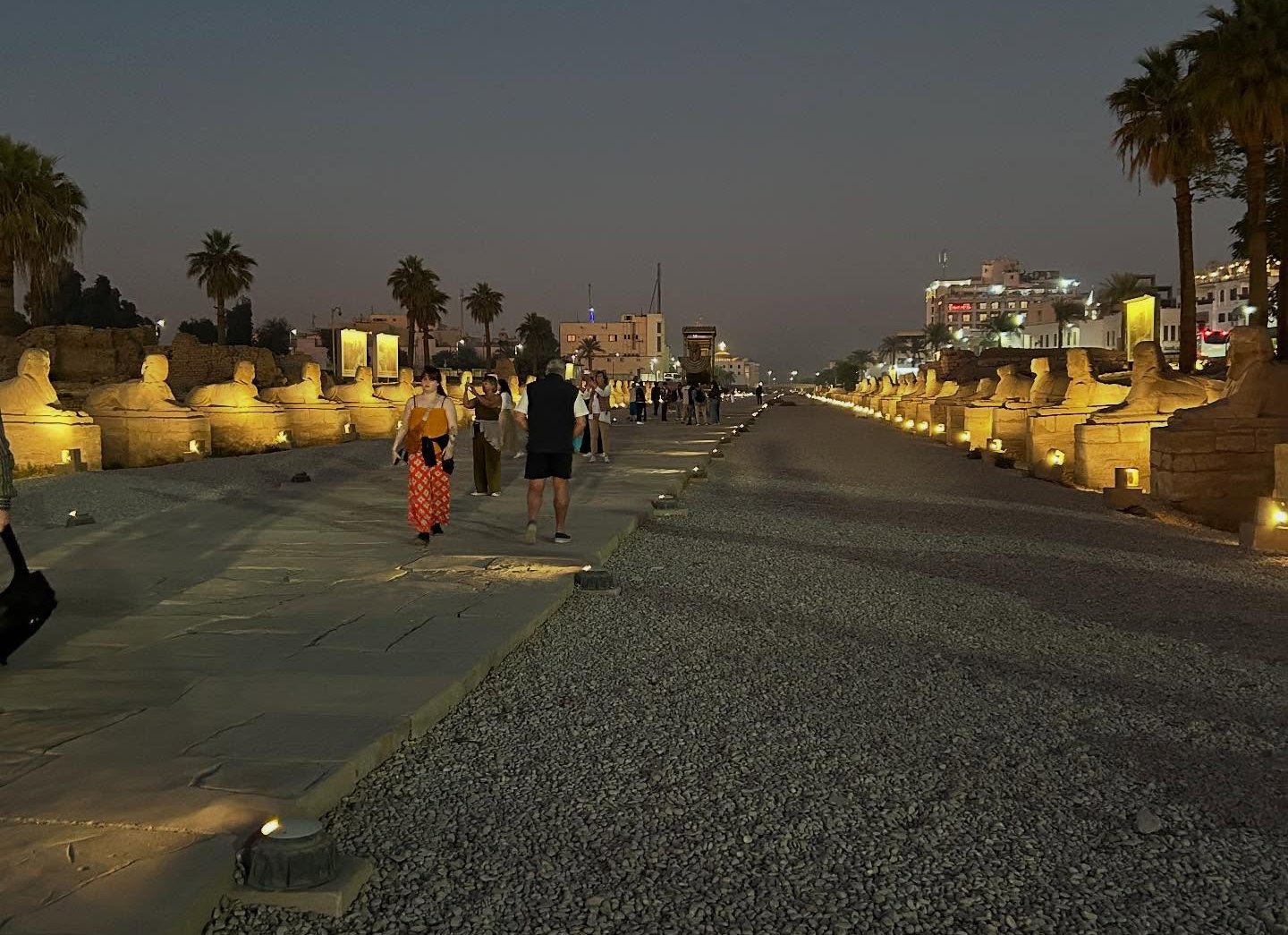 عظمة طريق الكباش والمراكب المقدسة تبهر ضيوف العالم عظمة طريق الكباش والمراكب المقدسة تبهر ضيوف العالم