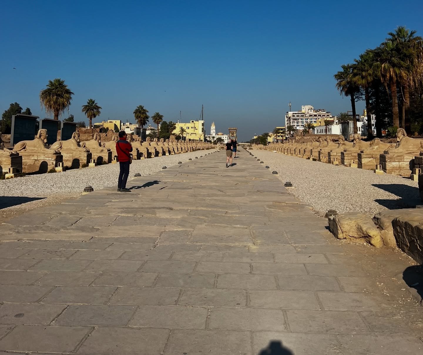 استمتاع السياح على طريق الكباش بالأقصر استمتاع السياح على طريق الكباش بالأقصر