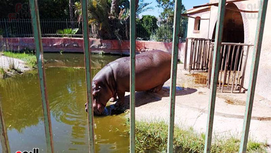 متعة-التنزة-فى-حديقة-الحيوان-فى-الشتاء-(3)