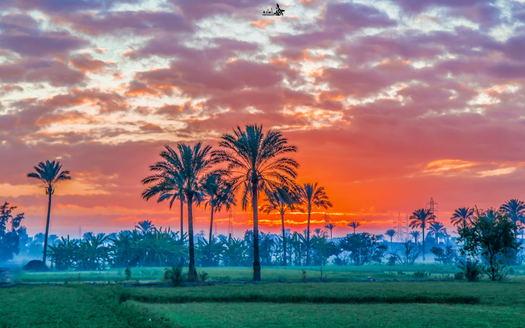 مشهد الغروب فى دمياط 2 مشهد الغروب فى دمياط 2