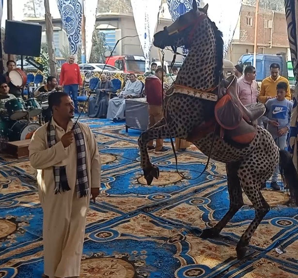يروض الخيل يروض الخيل