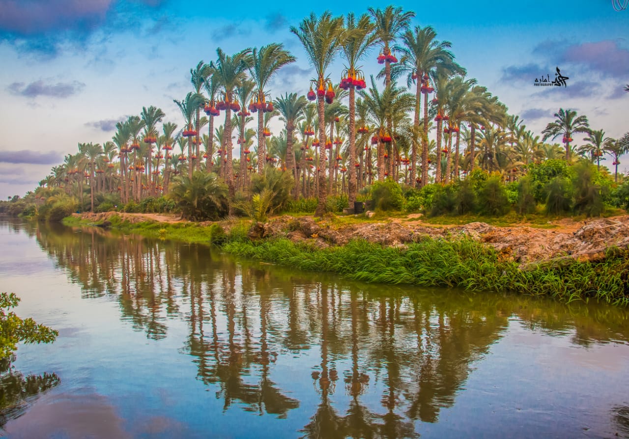 مشهد الشروق فى دمياط مشهد الشروق فى دمياط