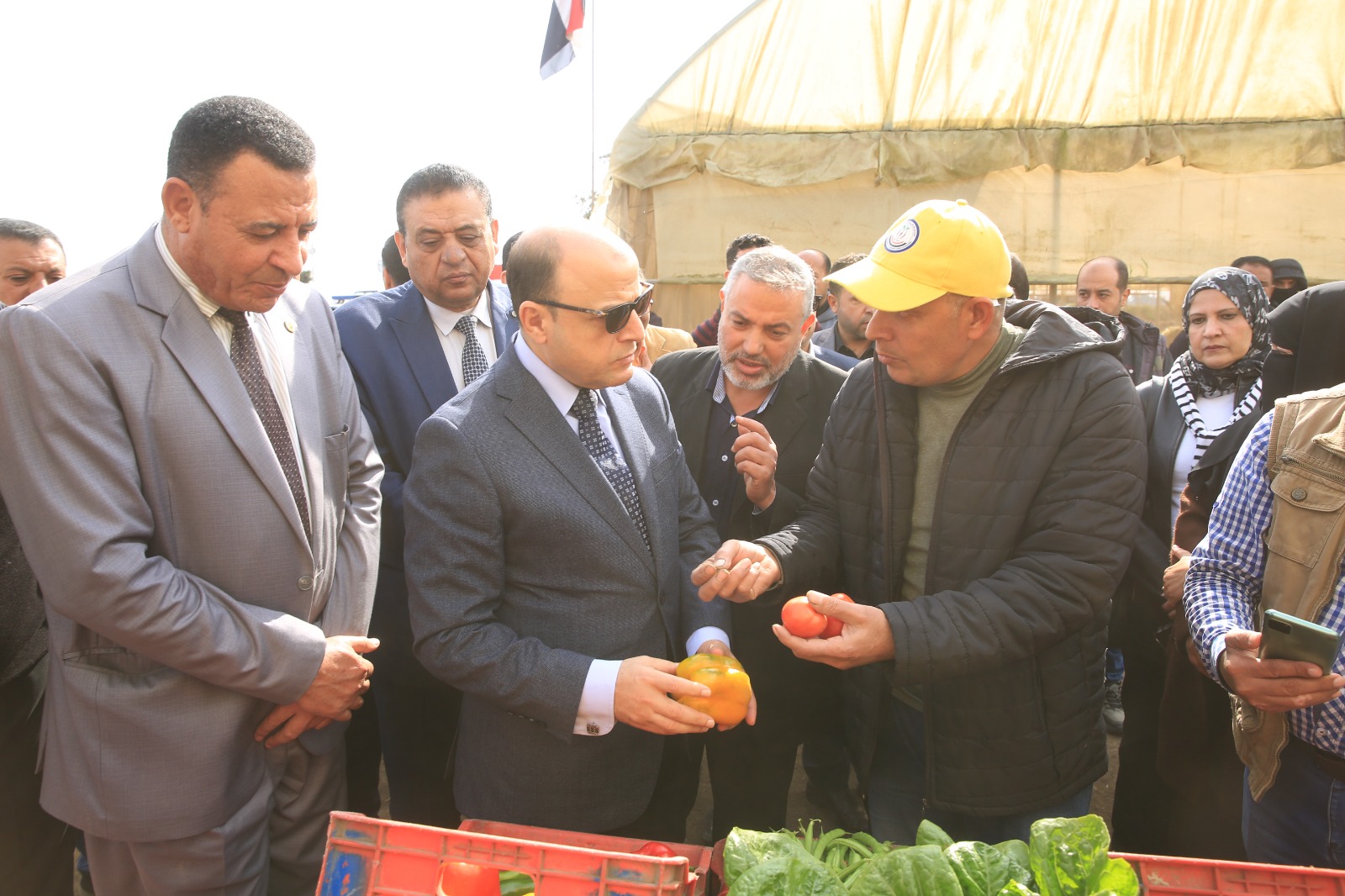 محافظ كفر الشيخ يتفقد تقاوى الخضر محافظ كفر الشيخ يتفقد تقاوى الخضر