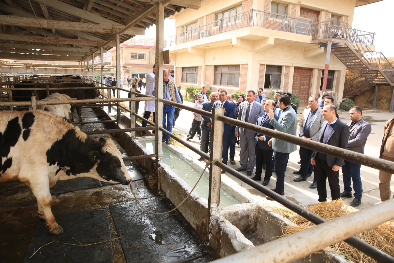 محافظ كفر الشيخ يتفقد الانتاج الحيواني
