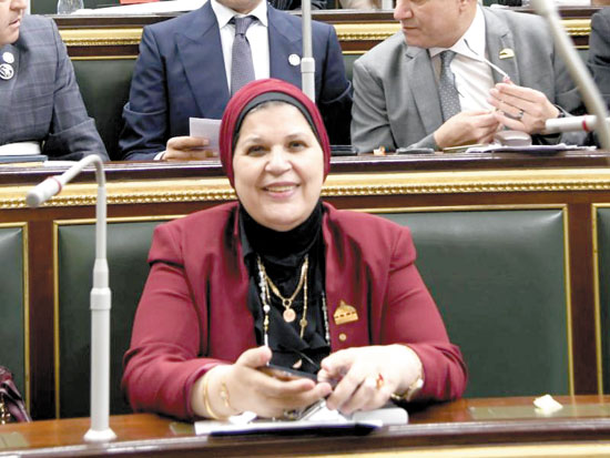 النائبة مايسة عطوة