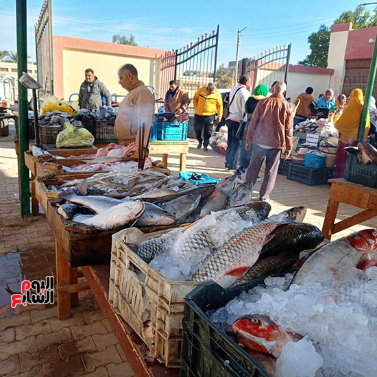 إقبال-كبير-من-المواطنين-على-أسواق-اليوم-الواحد--(19)