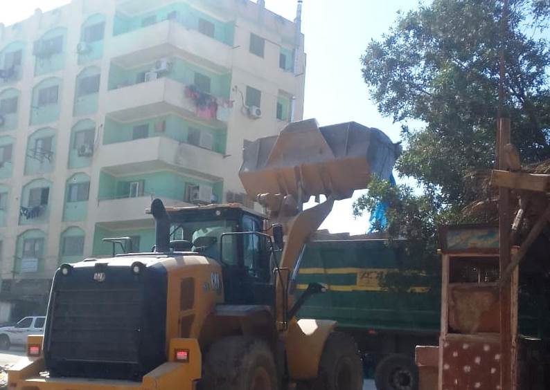 رفع مخلفات الأشجار