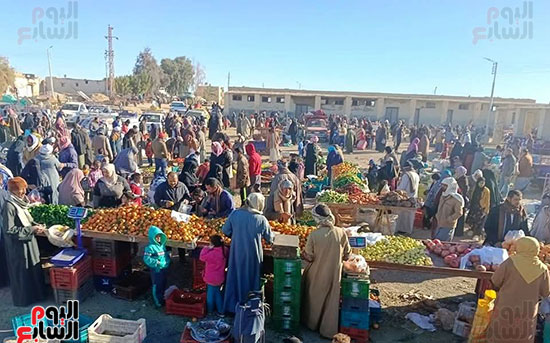 إقبال-كبير-من-المواطنين-على-أسواق-اليوم-الواحد--(9)