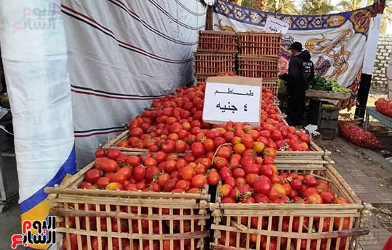 إقبال-كبير-من-المواطنين-على-أسواق-اليوم-الواحد--(2)