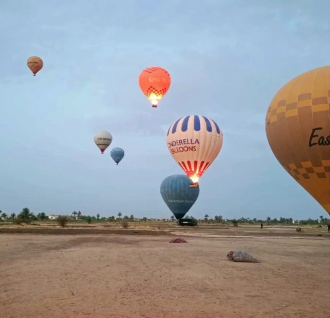 جانب من خروج رحلات البالون الطائر بالأقصر