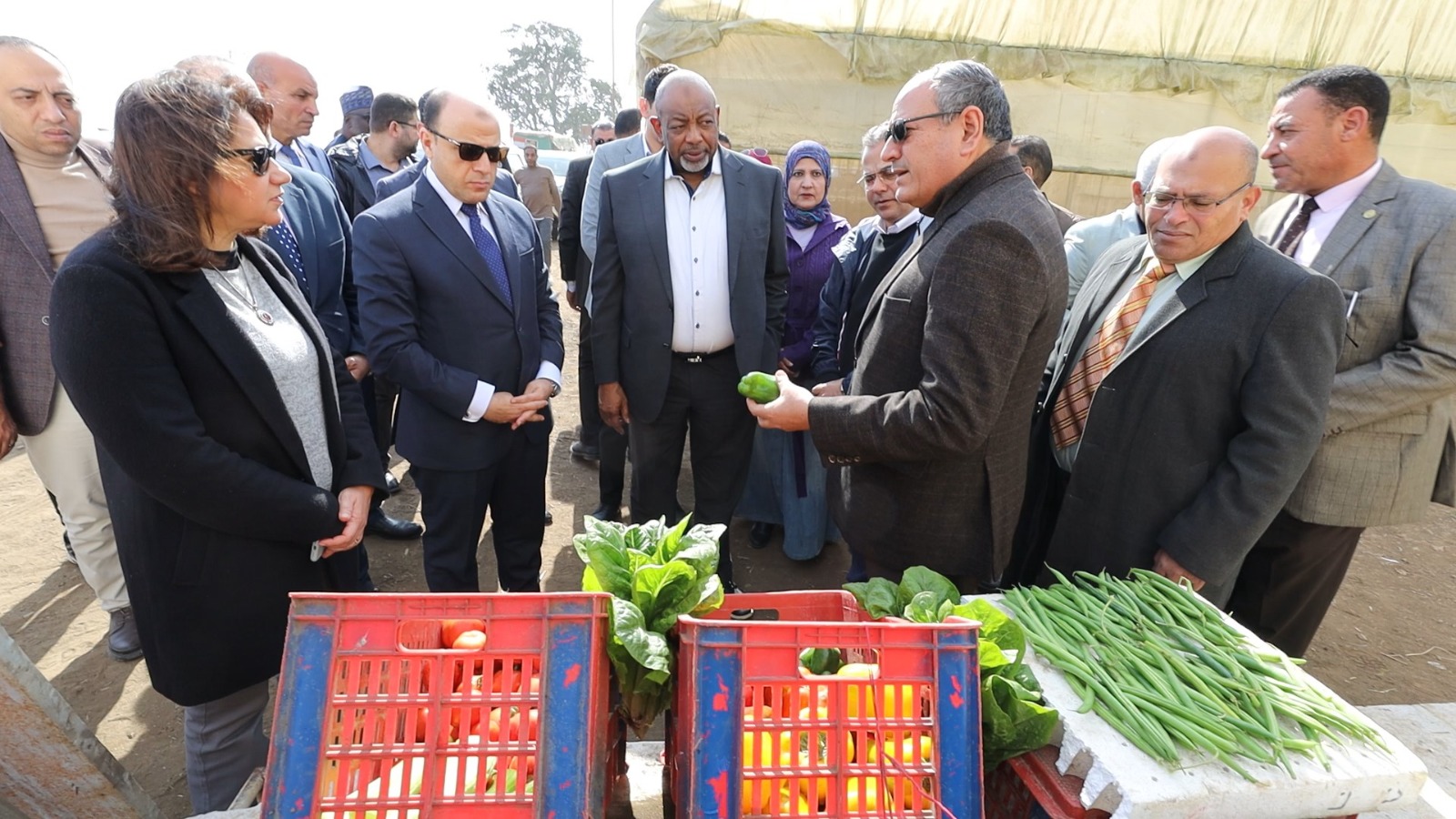الإطلاع على نماذج من الخضر الإطلاع على نماذج من الخضر