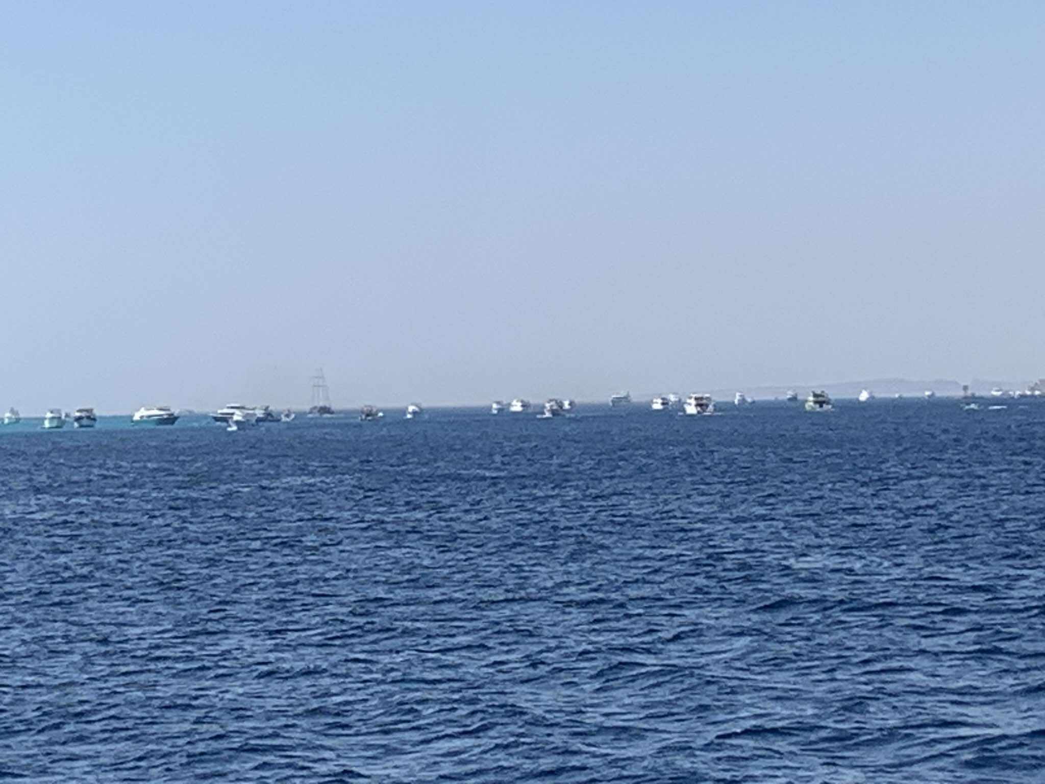 الرواج البحرى بالبحر الأحمر 