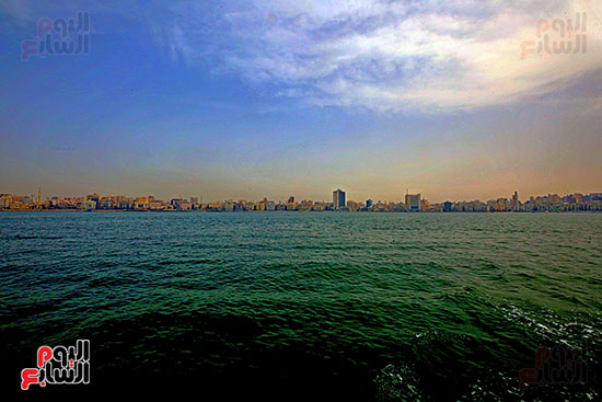 جمال الإسكندرية