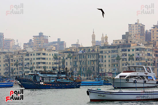 مراكب فى بحر الإسكندرية