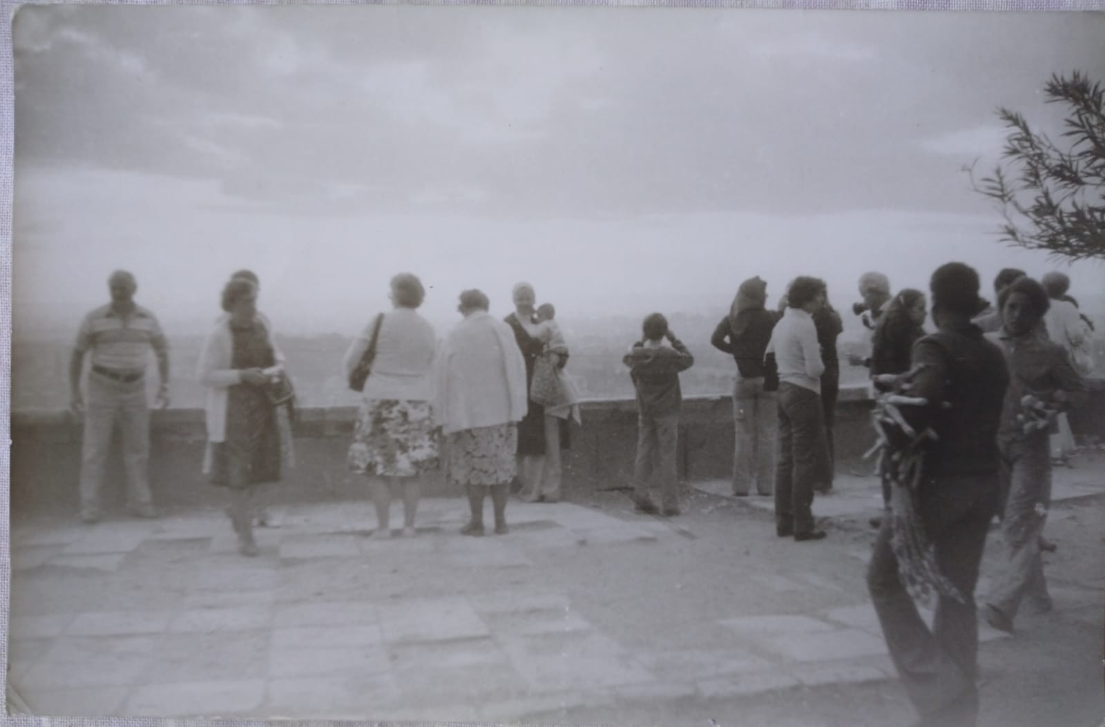 السياح يشاهدون القاهرة من فوق القلعة