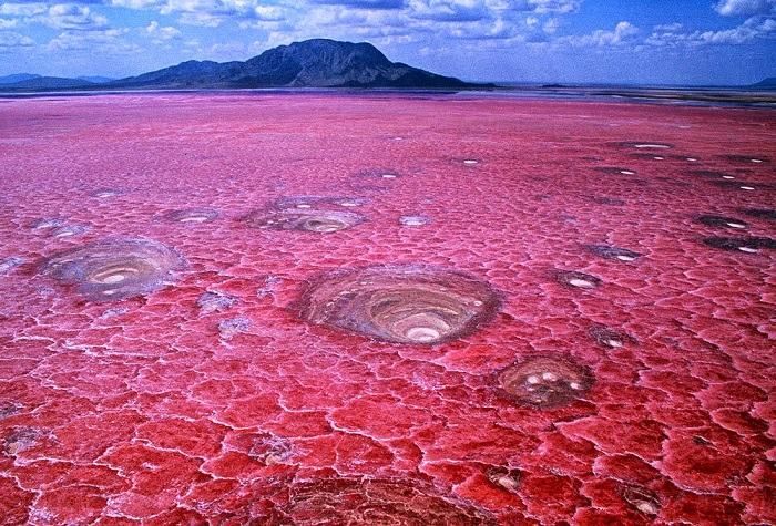 بحيرة ناترون حرارتها تصل الى 60 درجة