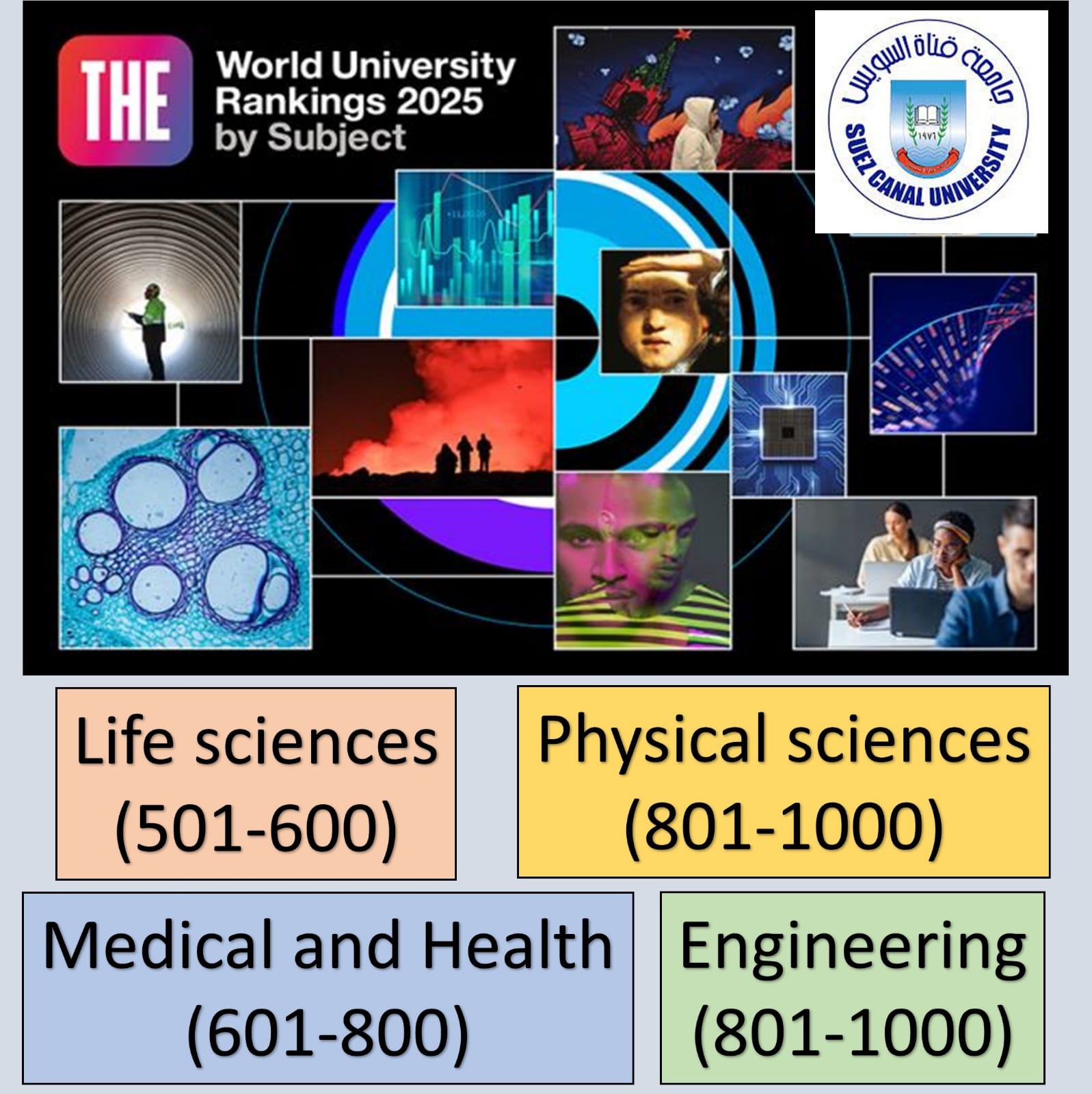 التصنيف التصنيف