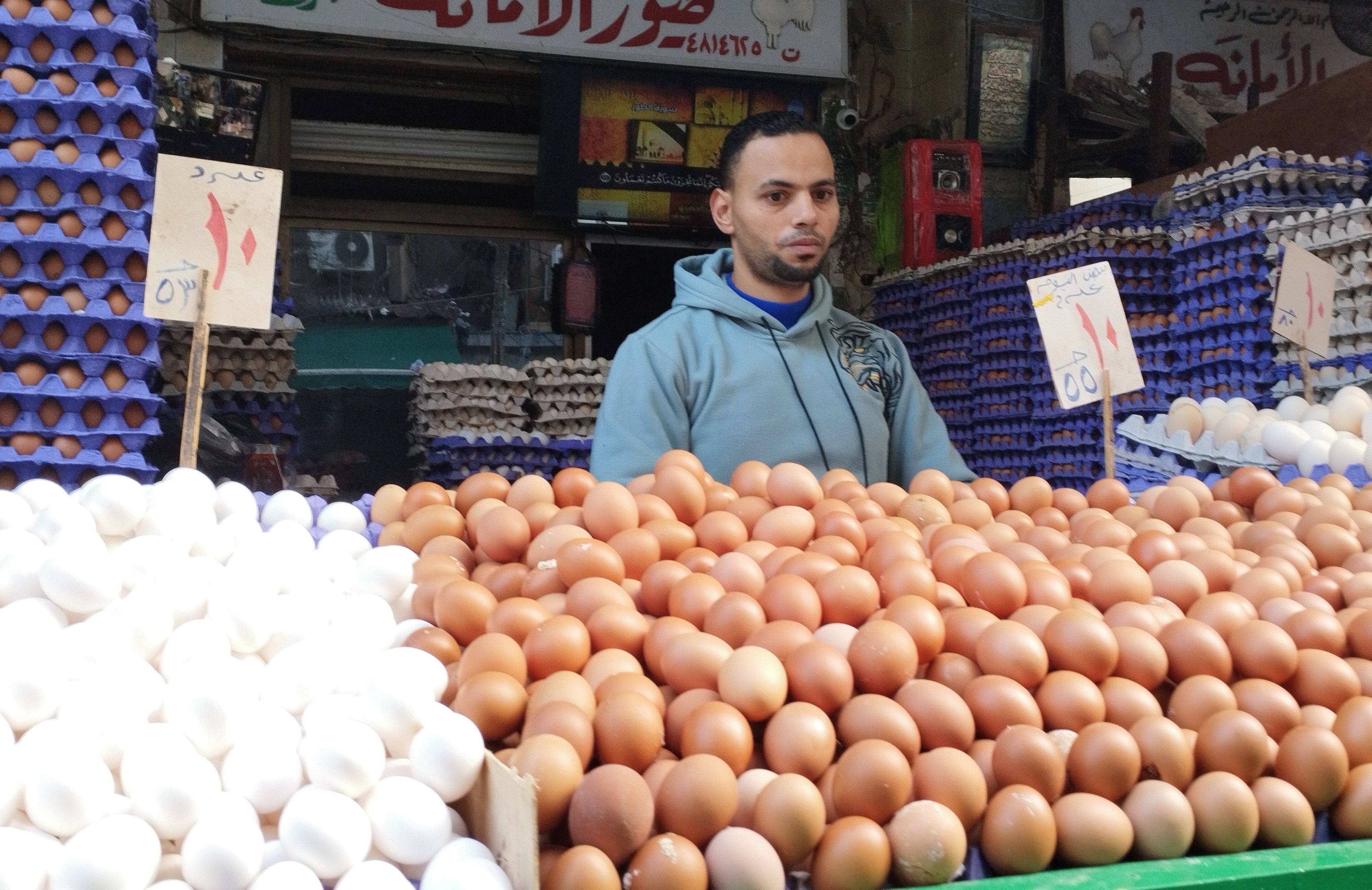 أسعار البيض بأنواعه في الإسكندرية أسعار البيض بأنواعه في الإسكندرية