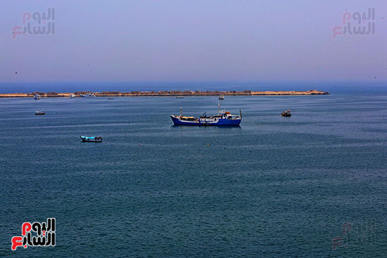 الإسكندرية (7)