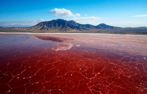 بحيرة ناترون 